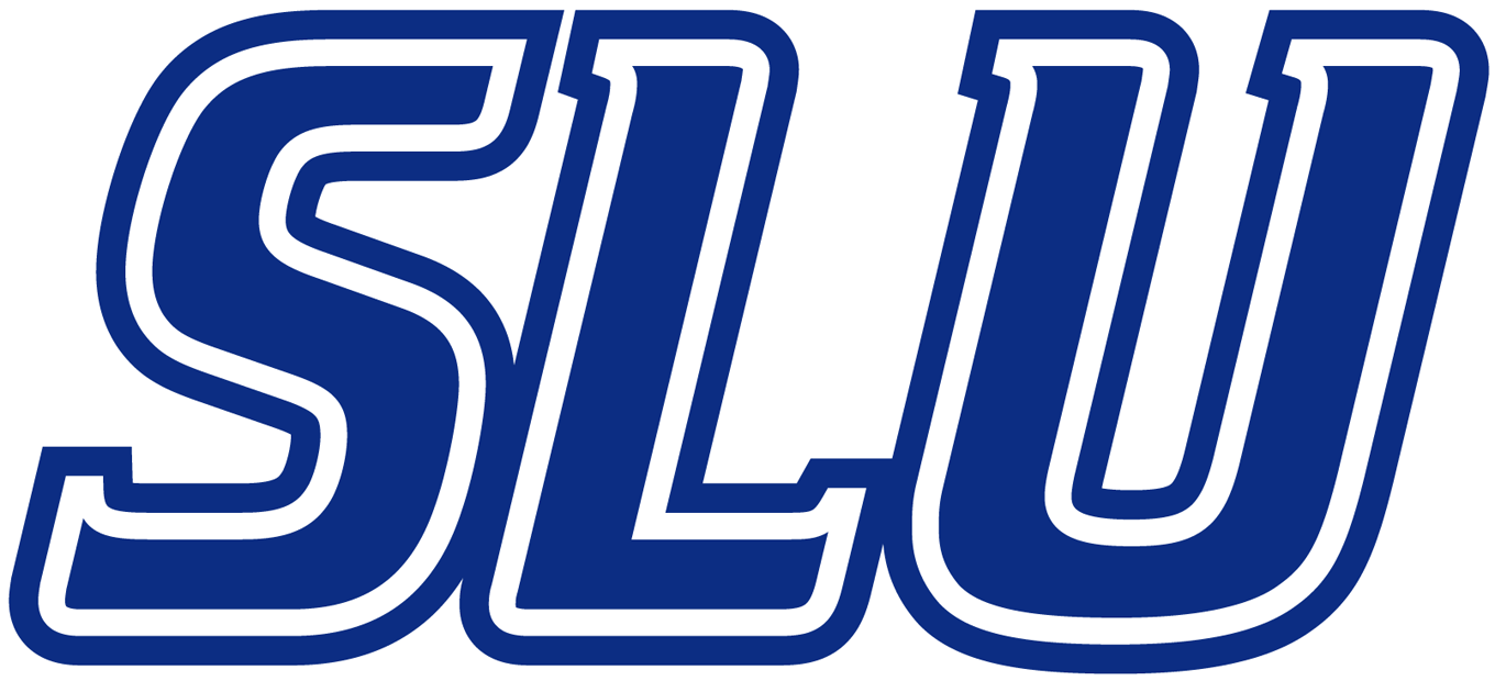 Saint Louis Billikens 2002-Pres Wordmark Logo v2 iron on transfers for clothing